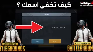 إخفاء الاسم في ببجي