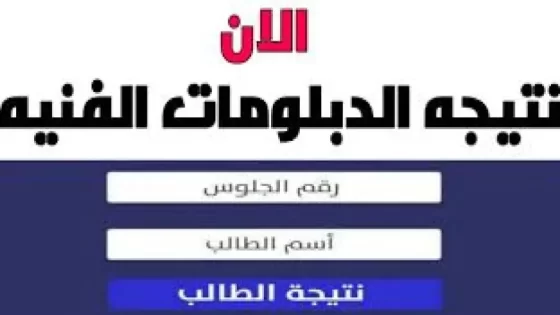 استعلم الآن.. نتيجة الدبلومات الفنية 2024 صناعي زراعي تجاري نظام 3 و 5 سنوات برقم الجلوس عبر بوابة التعليم الفني