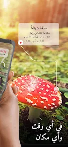 تحميل تطبيق Picture Mushroom Apk مهكر للاندرويد والايفون 2024 اخر اصدار مجانا