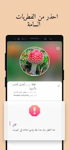 تحميل تطبيق Picture Mushroom Apk مهكر للاندرويد والايفون 2024 اخر اصدار مجانا