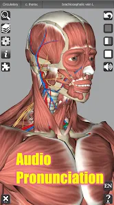 تحميل تطبيق 3D Anatomy مهكر للاندرويد والايفون 2025 اخر اصدار مجانا