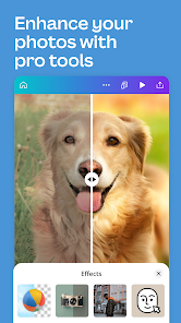 تحميل تطبيق كانفا برو Canva Pro Apk مهكر مدفوع للاندرويد والايفون 2024 اخر اصدار مجانا