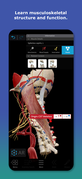 تحميل تطبيق Human Anatomy Atlas مهكر للأندرويد APK أخر إصدار 2027 مجانًا
